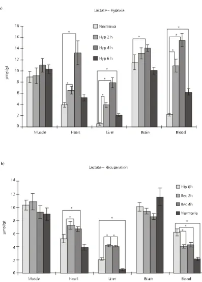 Fig. 3 — Lactate concentrations in different tissues of fishes submitted to normoxia and a) different periods of hypoxia;