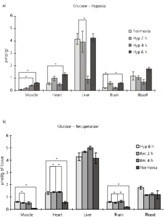 Fig. 4 — Glucose concentrations in different tissues of fishes submitted to normoxia and a) different periods of hypoxia, b) recuperation