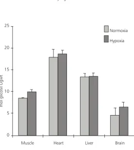 Fig. 6 — Glycogen concentrations in different tissues of fishes submitted to hypoxia for six hours