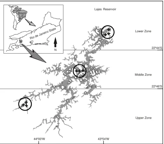 Fig. 1 — Study area, Lajes Reservoir with zones (upper, middle, and lower) and sampling sites (+).