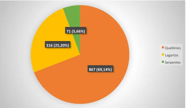 Fig. 22 – Representação gráfica do número de répteis atendidos no CVEP (2009-2016).