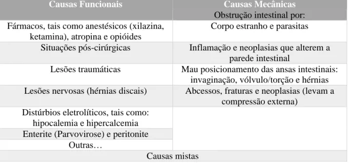 Tabela  1.  Diferentes  causas  funcionais  e  mecânicas  que  podem  levar  a  um  íleo  adinâmico  (adaptado de Gómez et al