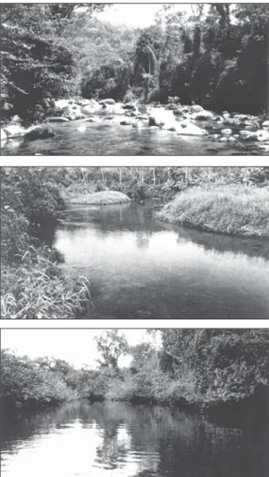 Fig. 1 — View of the three reaches of the Rio da Fazenda: