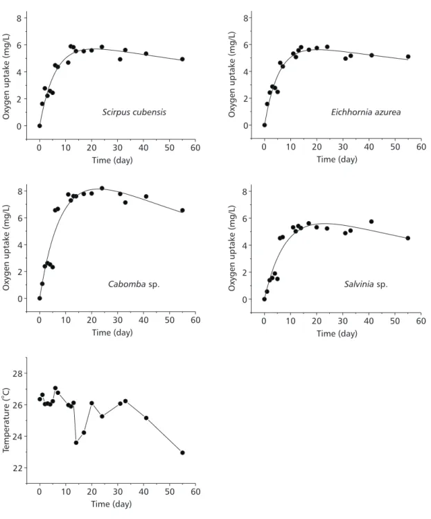 Fig. 2 — Oxygen uptake during the mineralisation of S. cubensis, E. azurea, Cabomba sp