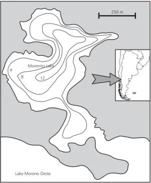 Fig. 1 — Map of the Morenito Lake.