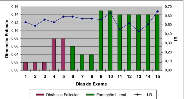 Figura 13: Relação entre as medidas de crescimento folicular, luteal e índice de resistividade  do ovário direito da fêmea n° 2