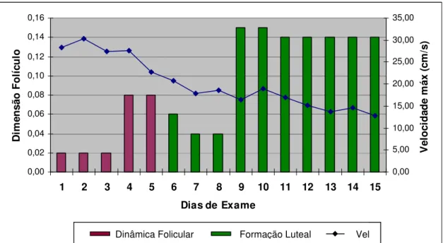 Figura -15: Relação entre as medidas de crescimento folicular, luteal e velocidade máxima  do ovário direito da fêmea n° 2