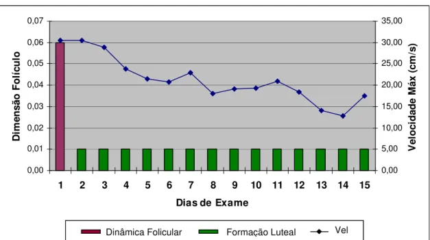 Figura 19: Relação entre as medidas de crescimento folicular, luteal e velocidade máxima do  ovário esquerdo da fêmea n˚ 2, 2008