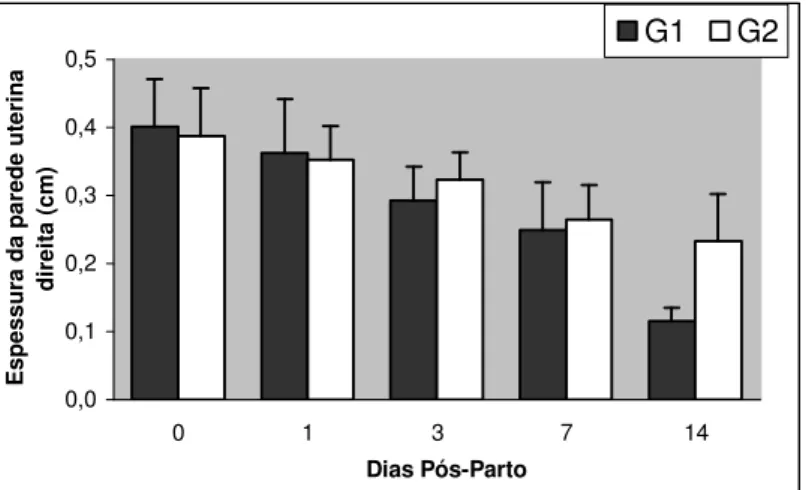 Figura  5:  Representação  gráfica  das  médias  ±  desvio  padrão  da  espessura  parede  uterina  direita,  aferidos  por  ultra-som,  durante  o  puerpério  de  fêmeas  caninas,  Grupos  1  (tratado)  e  2  (controle),  Jaboticabal  –  SP,  2006
