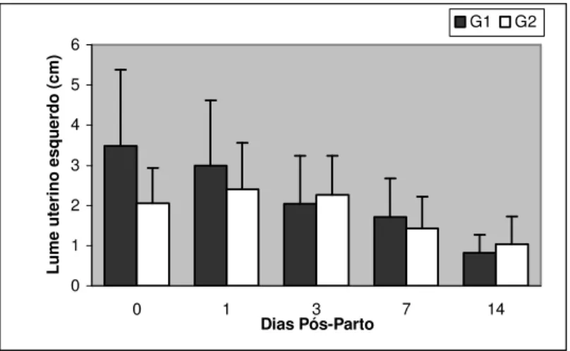 Figura  8:  Representação  gráfica  das  médias  ±  desvio  padrão  do  lume  uterino esquerdo, aferidos por ultra-som, durante o puerpério de fêmeas caninas,  Grupos 1 (tratado) e 2 (controle), Jaboticabal – SP, 2006