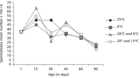 Fig. 5 — Spermatozoa mean number of Anastrepha fraterculus at different ages reared at alternating (20/6 o C and 20/