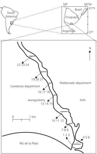 Fig. 1 — Map of the study area in Solís Grande Stream estuary showing the positions of the 24 sampling stations.