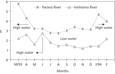 Fig. 2 — Water level (mean values of 6 days preceding sampling) of the Paraná and Ivinheima Rivers.