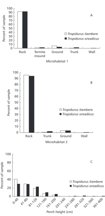 Fig. 2 — Microhabitat (A – first sighting; B – after the observer’s approach; N = 243 Ti and N = 250 To) and C – perch height (N = 240 Ti and N = 244 To) occurrence of Tropidurus itambere and T