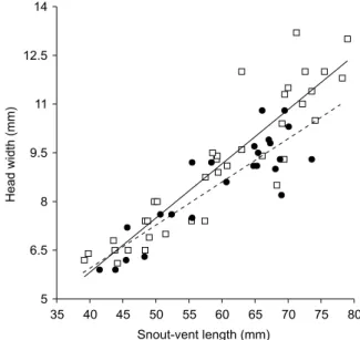 Fig ig ig ig ig. 1 — . 1 — . 1 — . 1 — . 1 — Regression of head width (in mm) as a function of snout-vent length (in mm) of Cnemidophorus littoralis in Barra de Maricá, RJ