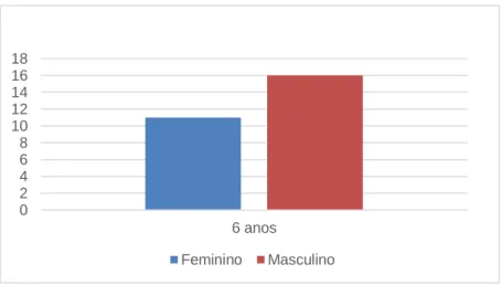 Figura 1 - Distribuição da turma de 1.º ano por idade e sexo 