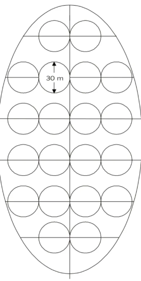 Fig. 2 — Final stage of beach map.