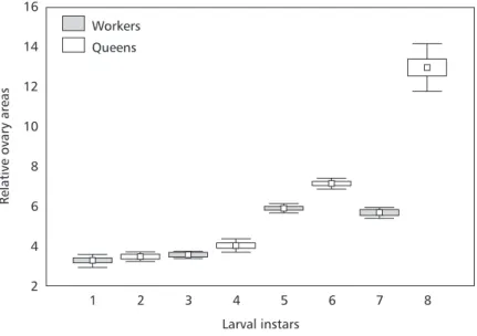 Fig ig ig ig ig. 3 — . 3 — . 3 — . 3 — . 3 — Relative average areas of worker and queen ovaries of Apis mellifera during larval development