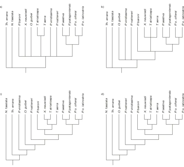Fig. 1 — (a) Strict consensus of three equally parsimonious trees using complete sequences of nucleotides