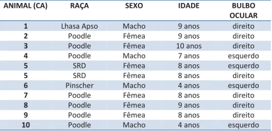 Tabela 1: Distribuição de cães do Grupo CA examinados por  ultrassonografia ocular, segundo raça, sexo, idade e bulbo ocular avaliado