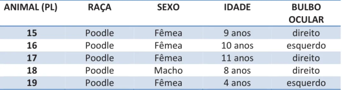 Tabela 3: Distribuição de cães do Grupo PL examinados por  ultrassonografia ocular, segundo raça, sexo, idade e bulbo ocular avaliado