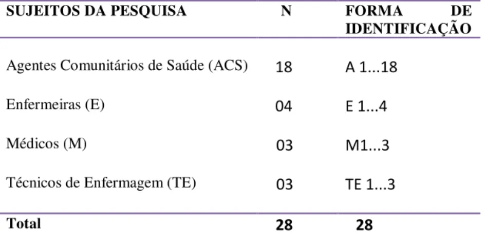 Tabela 1- Sujeitos da Pesquisa sobre SM na Estratégia de Saúde da Família, Paraopeba-MG,  2014 
