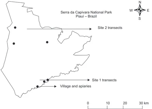 Fig. 1 — Serra da Capivara National Park map and study site locations, the transects, the village, and apiaries.