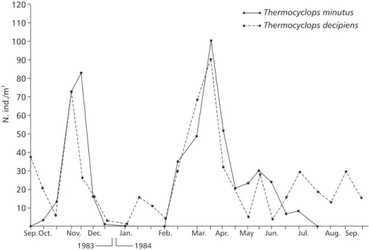 Fig. 6 — Seasonal fluctuaction of Thermocyclops decipiens and Thermocyclops minutus in Barra Bonita Reservoir.