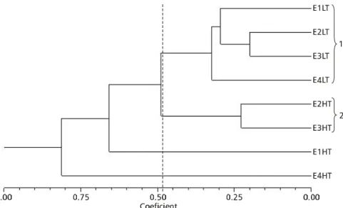 Fig. 6 — Dendrogram showing samples similarity in the estuary of the Capibaribe river, Recife, Pernambuco (Brazil), based on Braycurtis index