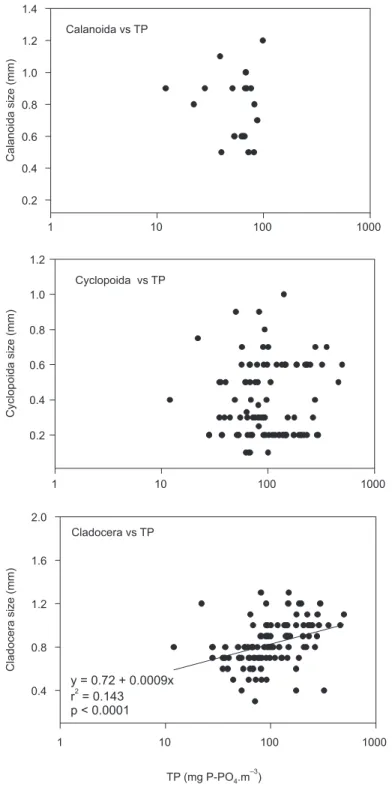 Fig. 4 — Linear regression between total phosphorus (TP) and size of crustacean zooplankton in Pampulha reservoir (1993-1998).