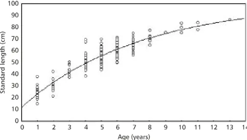 Fig. 4 — Growth curve for the length-at-age data obtained by otholith readings fitted by the Schnute model.