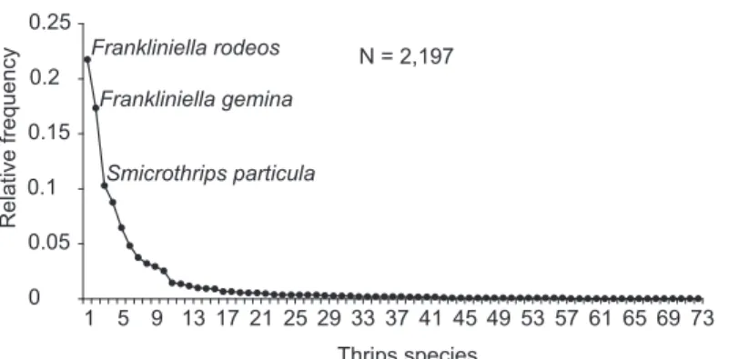 Fig. 3 — Abundance distribution of thrips species (relative frequency per species in order of abundance) found in the Parque  Estadual de Itapuã (30° 22’ S 51° 02’ W), Viamão, RS