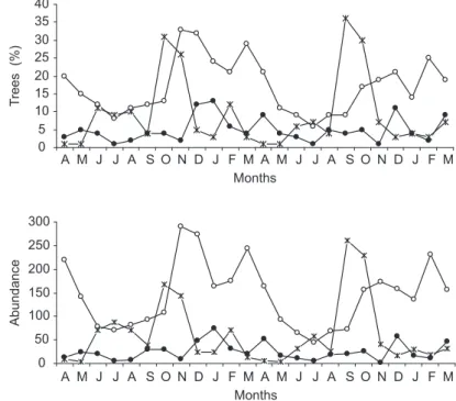 Fig. 2 — Percentage of flowered trees (asterisk, N = 370), trees bearing immature (open circle) and mature fruits (full circle),  as well as the abundance (sum of scores; see methods) of these resources from April 2000 to March 2002 in the Miranda  River g