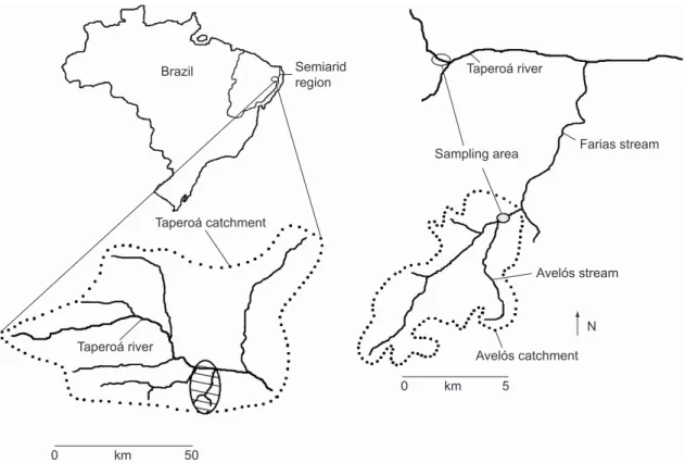 Fig. 1 — Geographical localization of drainage basins and sampling areas in the Avelós stream (7° 28’ 08” S and 36° 31’17” W),  and in the Taperoá river (between 7° 00’ S and 7° 30’ S, and 37° 00’ W and 36° 10’ W) in the semi-arid region of Brazil.
