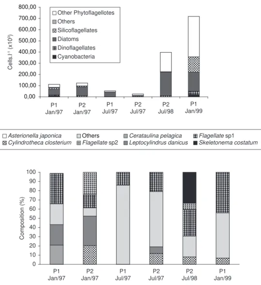 Fig. 4 — Abundance (upper) and composition (lower) of the phytoplankton in the São Sebastião Channel where fecal pellets  of zooplankton were collected.