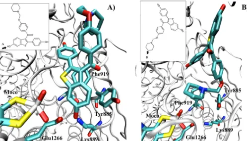 FIGURE 8. Molecular docking studies with the inhibitor raloxifene; binding modes (A) and (B).