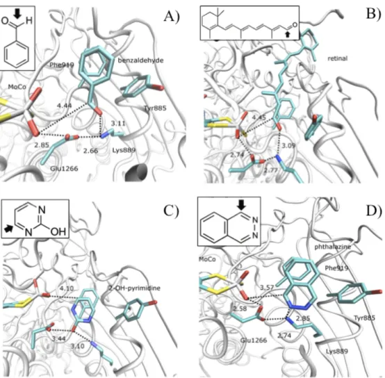 FIGURE 1 SI - Molecular docking with the substrates: (A) benzaldehyde; (b) retinal; 