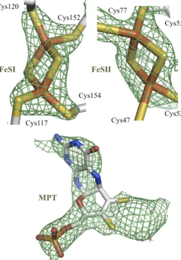 FIGURE 2. Simulated annealing omit electron density map contoured at 1. 0␴ and superimposed with the final refined model for [2Fe-2S] I, [2Fe-2S] II and molybdopterin monophosphate cofactor (MPT)  (mono-mer A).