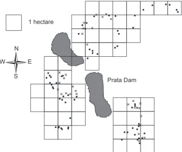 Fig. 5 — Spatial distribution of Buchenavia capitata adults at Dois Irmãos State Park, Brazil