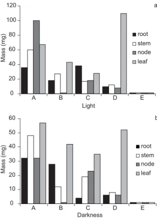 Fig. 1 — Dark-grown (a) and light-brown (b) callus weight induced by 2,4 dichlorophenoxyacetic acid (2,4-D) and kine- kine-tin (Kin) from root, shoot, and cotyledonary leaves and node leaves of Didymopanax morototoni