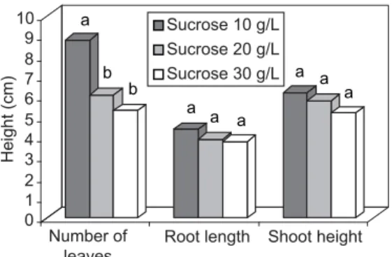 Fig. 7 — Evaluation of D. morototoni growth after 60 days of culture in three sucrose concentrations