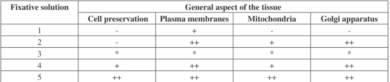 Table 2 summarizes the results obtained with  the  five  fixative  solutions  (FS).  In  the  electron  micrographs of the testes fixed with FS 1, the cells  appeared swollen, despite the addition of  mM NaCl  to  the  phosphate  buffer