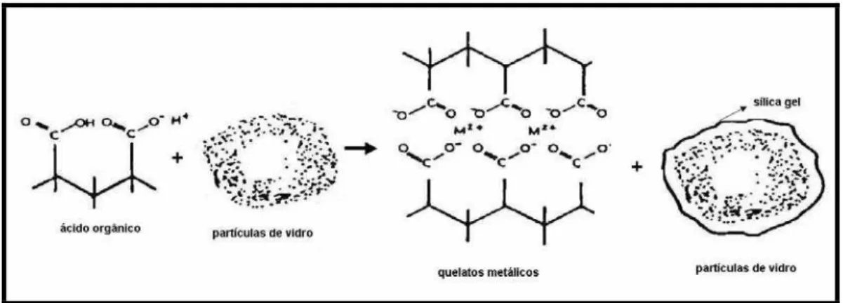 FIGURA 1 - Representação esquemática da interação entre o ácido orgânico e as partículas de  vidro