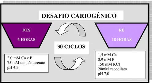 FIGURA 15 – Desafio cariogênico durante um mês. 