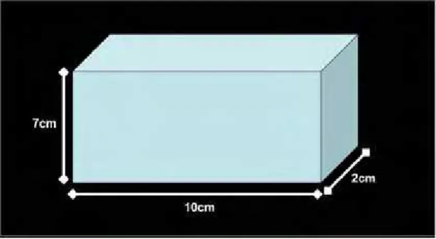 FIGURA 1 – Modelo experimental. 