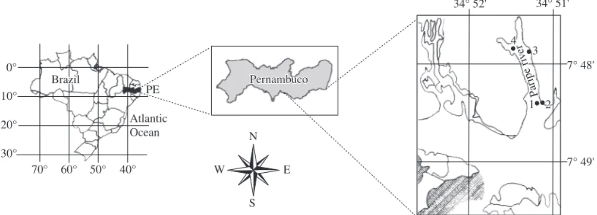 Figure 1. Map showing the localization of sampling stations – Paripe river estuary-Pernambuco-Brazil.
