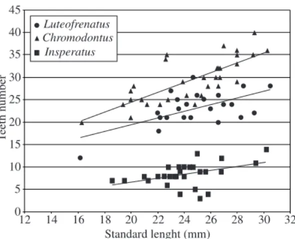 Figure  5.  Distribution  of  premaxillary  teeth  number  as   function of standard length in three species of Hisonotus.