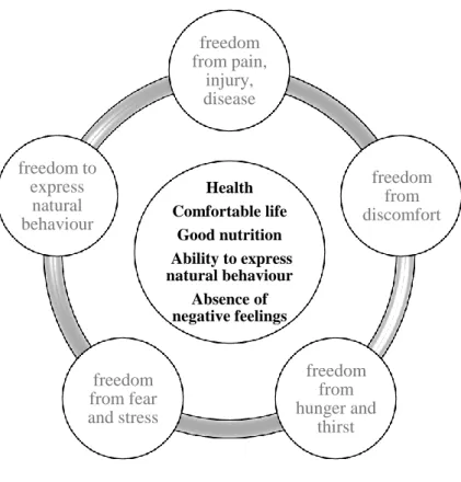 Figure 3. OIE welfare definition and the Five Freedoms 
