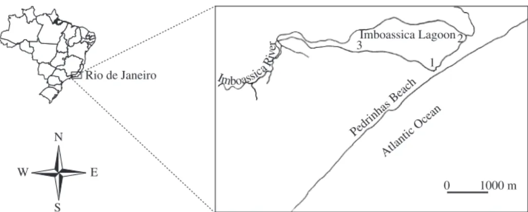 Figure 1. Geographical position of the Imboassica Lagoon. Sampling station indicated by numbers.