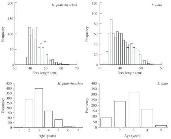 Figure 1. Fork lengths Frequency distribution, and age structure of the sample of H. platyrhynchos and S